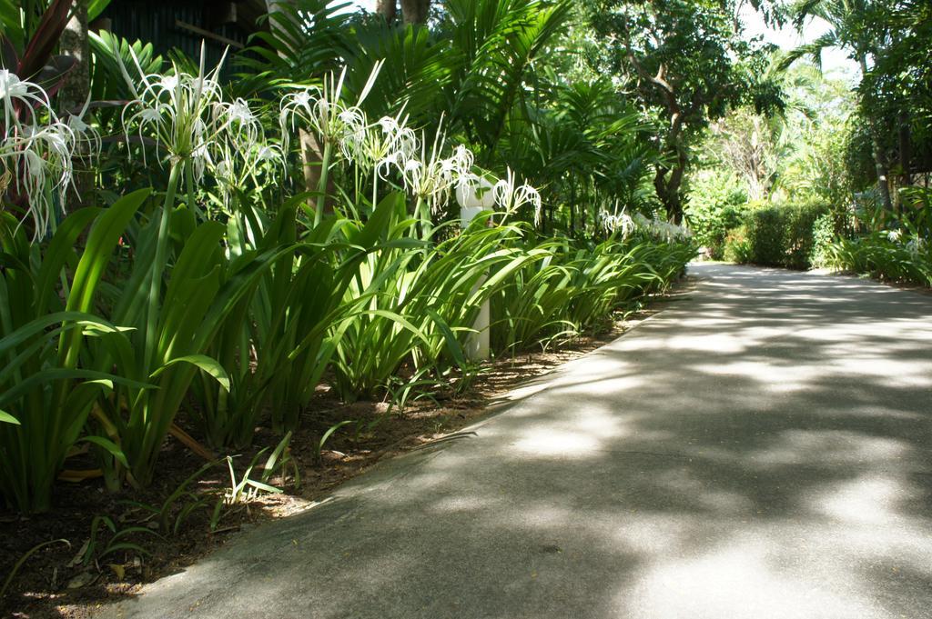 Palm Village Rawai Exteriör bild