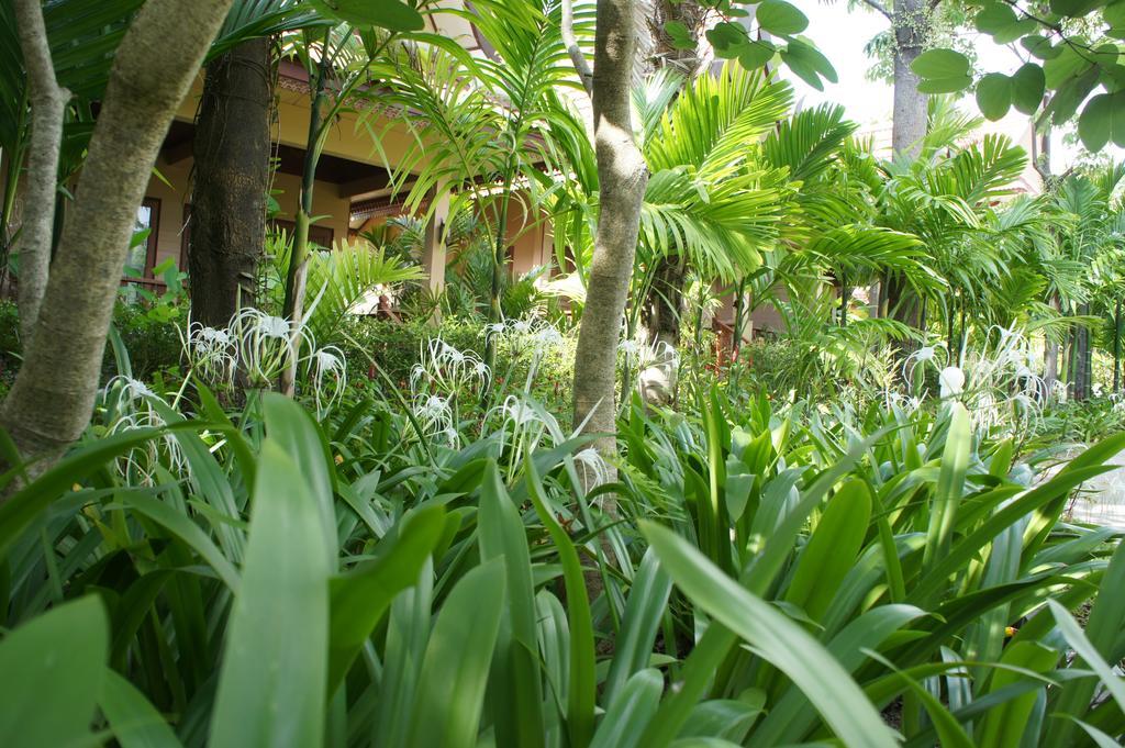 Palm Village Rawai Exteriör bild