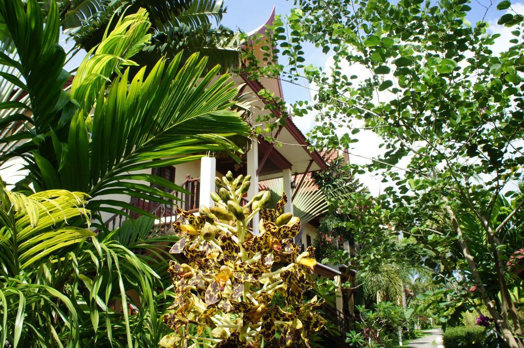 Palm Village Rawai Exteriör bild