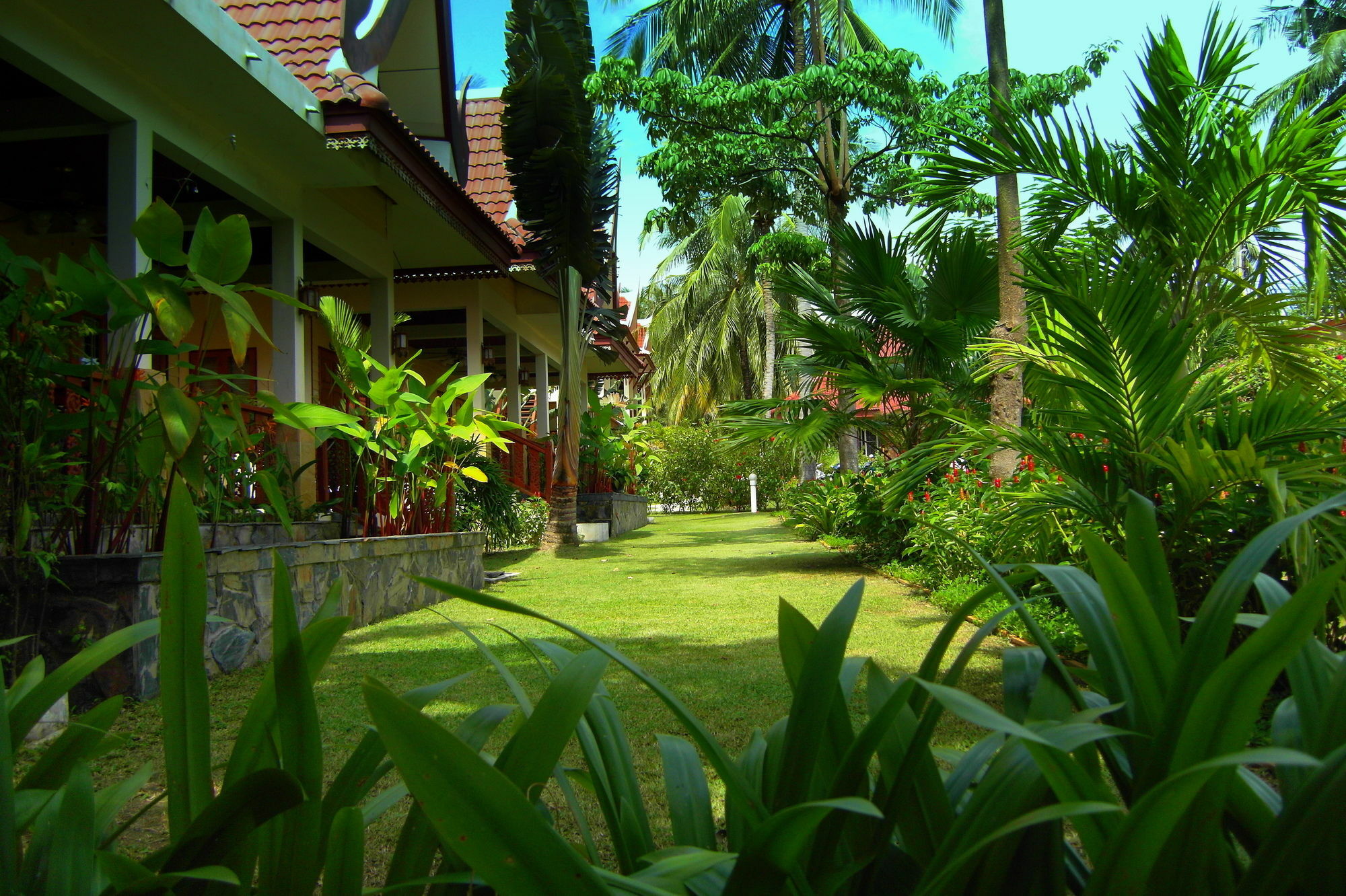 Palm Village Rawai Exteriör bild